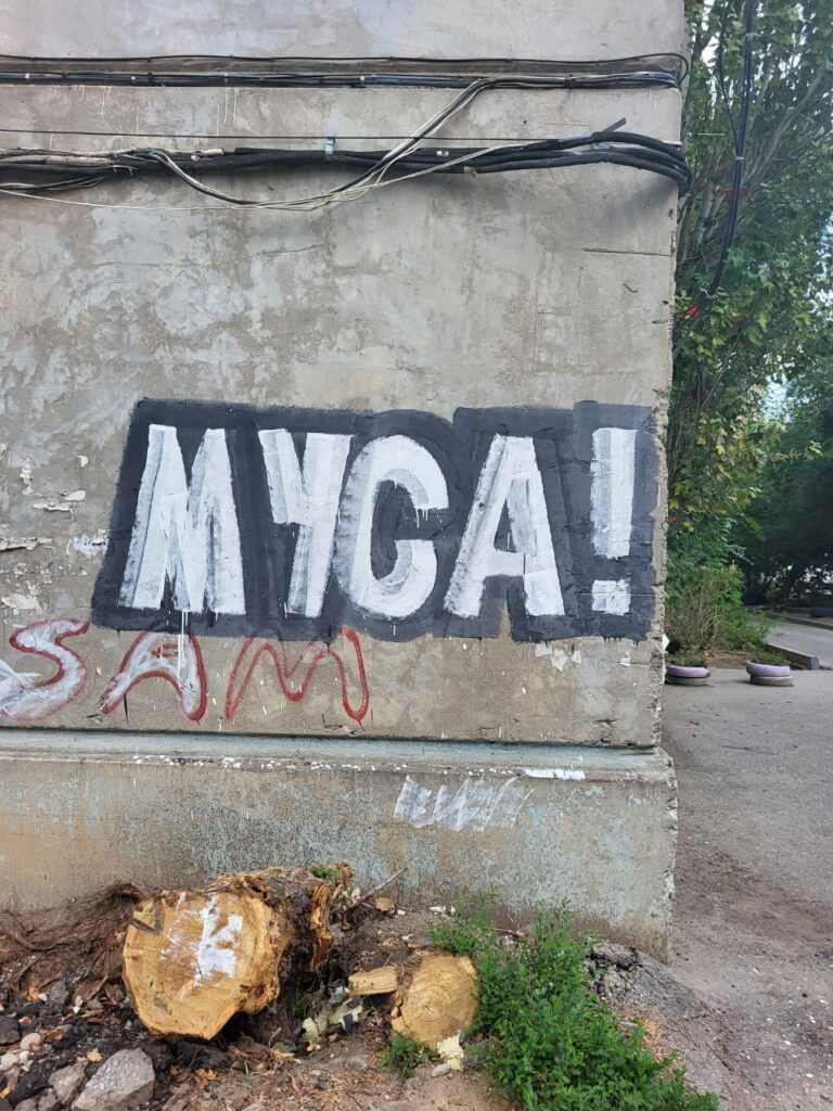 В Ленинском районе появляются непонятные граффити, смысл которых раскрыл сам автор