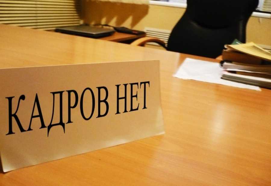 Кадровый голод вынуждает работодателей самим искать сотрудников