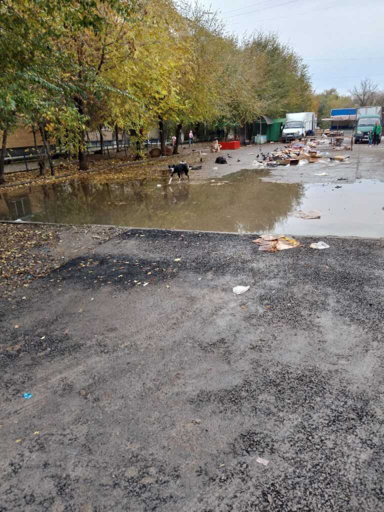 Одна из старейших ярмарок выходного дня может перестать существовать — фото 1