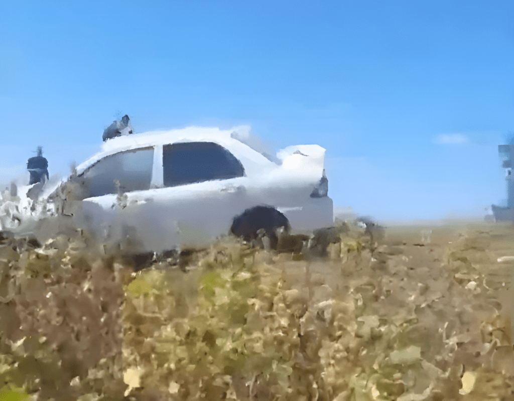 Угнанную машину астраханки пришлось доставать из реки
