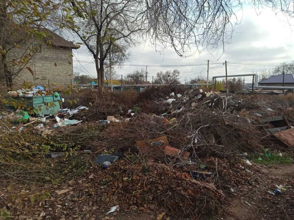 В Астрахани в два раза увеличилось количество машин, вывозящих мусор