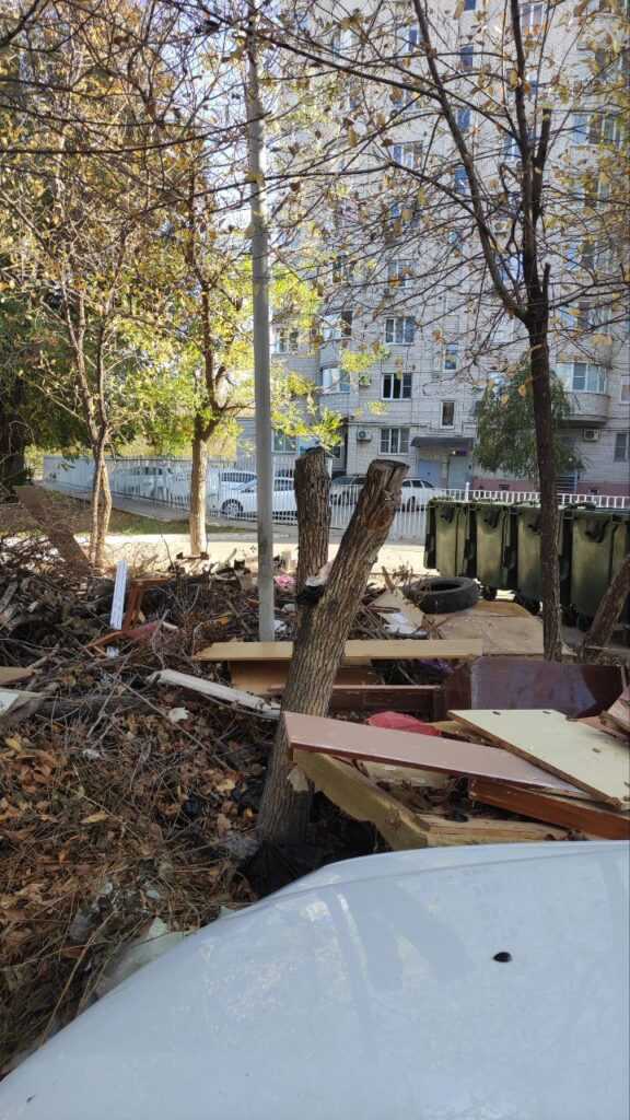 Астраханцы рассказали о крупных свалках, которые обнаружили в регионе — фото 4