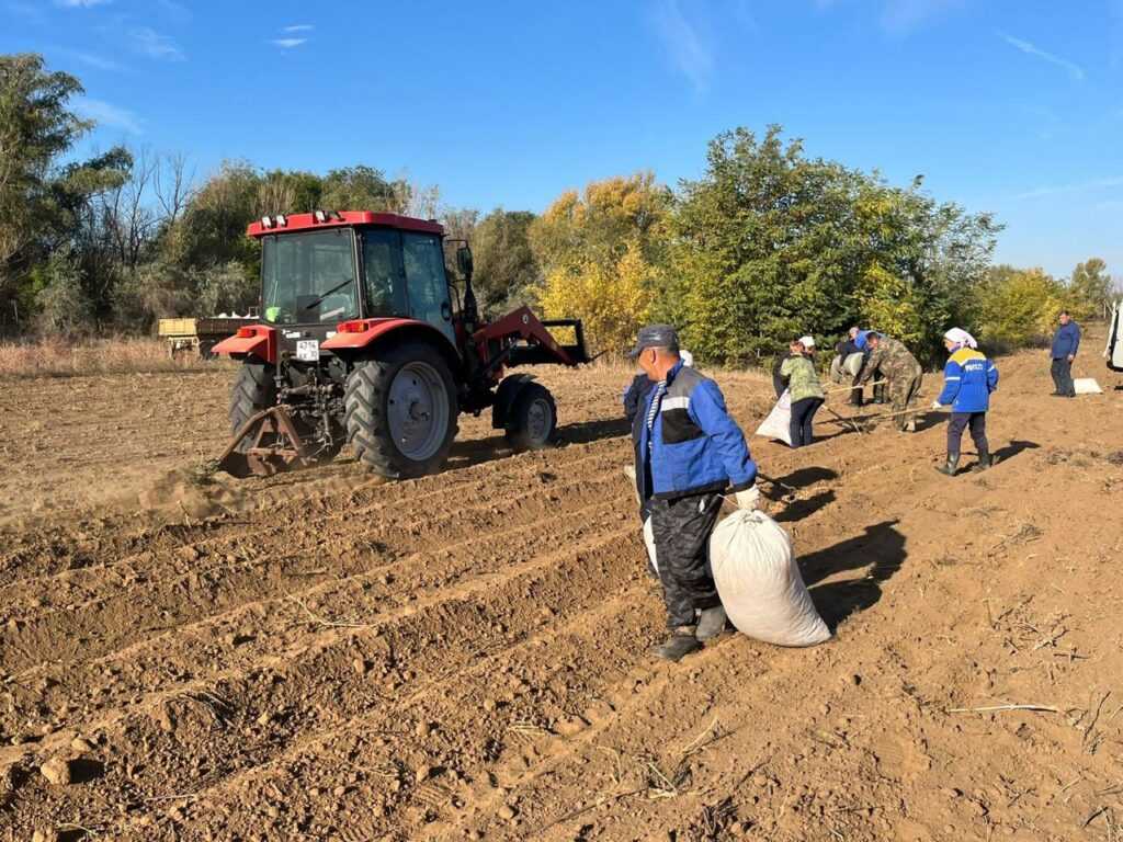 В Астрахани продолжают бороться с опустыниванием