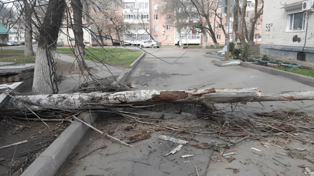 В Астрахани вновь начался сезон ветров, который повлек за собой множество происшествий