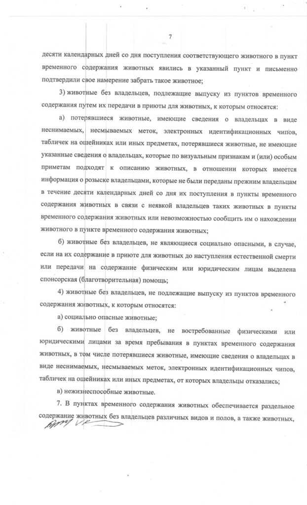 Астраханский депутат предложил радикальнее решать проблему бездомных собак — фото 2