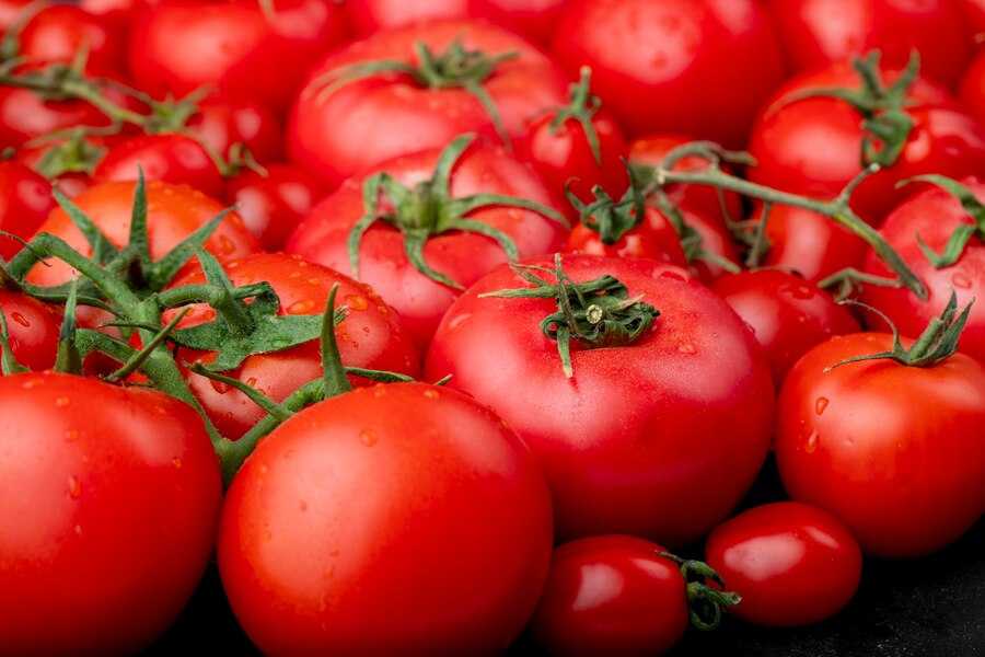 Еще один завод по производству томатной продукции появится в Астраханской области