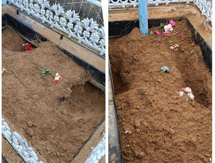 Астраханские собаки начали вредить не только живым, но и мертвым