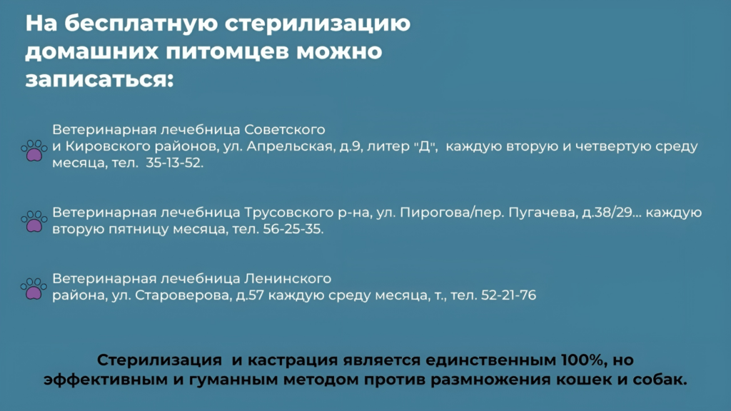 Где астраханцы смогут льготно простерилизовать своих домашних любимцев — фото 1