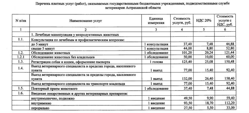 Где астраханцы смогут льготно простерилизовать своих домашних любимцев — фото 2