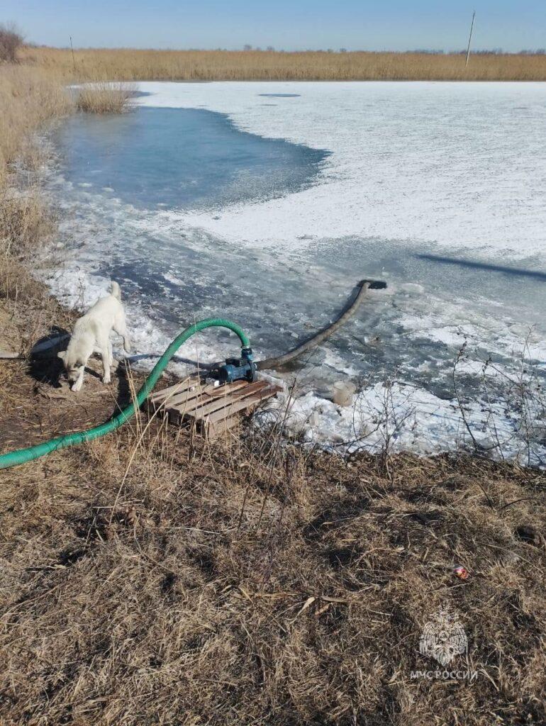 В Астраханской области начали специально сжигать сухостой — фото 2