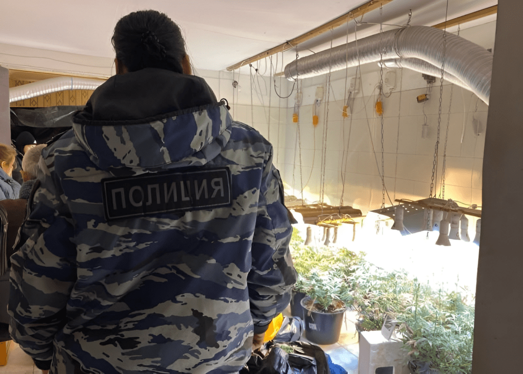 В Трусовском районе Астрахани обнаружили наркоферму