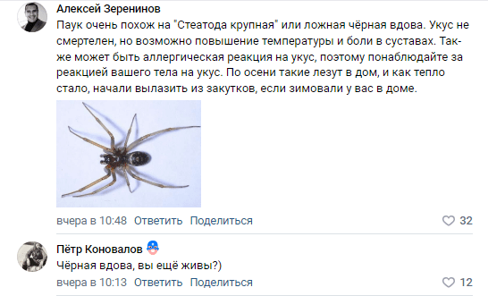 Астраханцы рассказали о пауке, который их покусал — фото 3