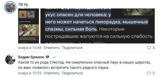 Астраханцы рассказали о пауке, который их покусал — фото 1