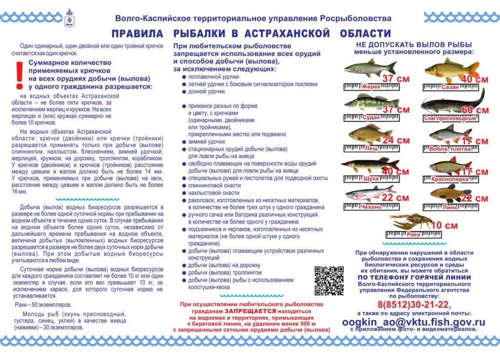 У астраханцев останется 10 дней на вылов воблы — фото 1