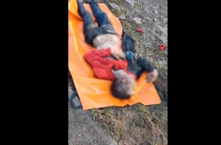 В Астраханской области мужчина скончался от травм, предположительно нанесенных собаками