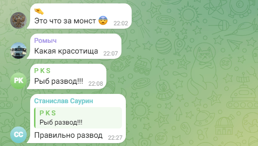 Гигантскую рыбу засняли в Астраханской области — фото 2