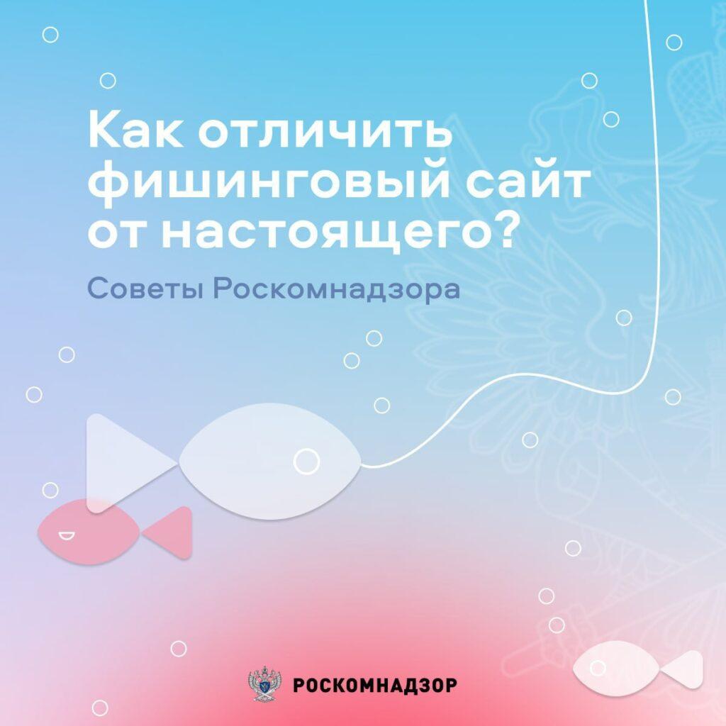 Роскомнадзор напомнил, как отличить сайт-подделку от настоящего