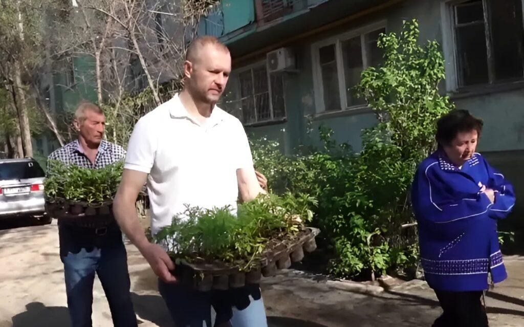 Астраханские дворы вскоре украсят специально выращенные цветы