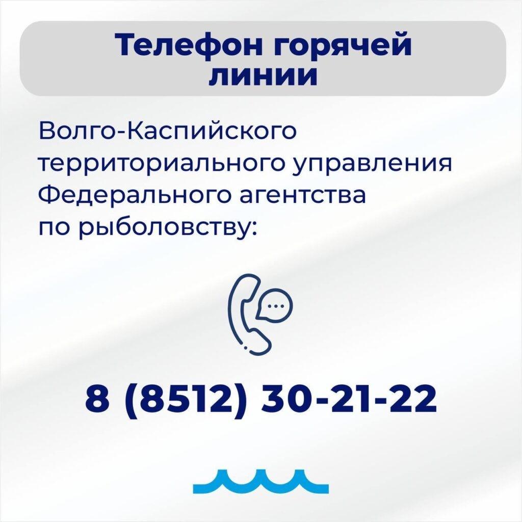«Поблажек никому не будет»: Игорь Бабушкин о запрете на вылов воблы в Астраханской области — фото 6