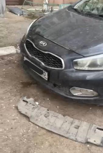 Собаки продолжают портить автомобили астраханцев