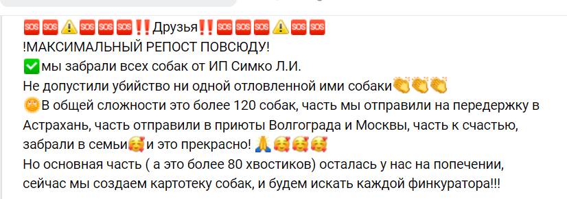 Зоозащитники продолжают массово «спасать» собак из пунктов временного содержания — фото 2