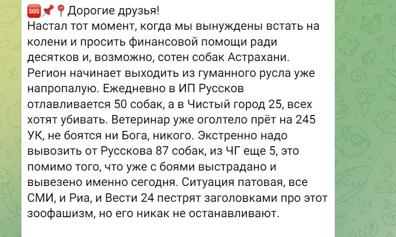 Зоозащитники продолжают массово «спасать» собак из пунктов временного содержания — фото 1