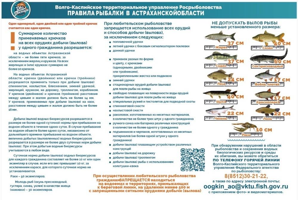 Совсем скоро в Астраханской области вступит в силу нерестовый запрет — фото 1