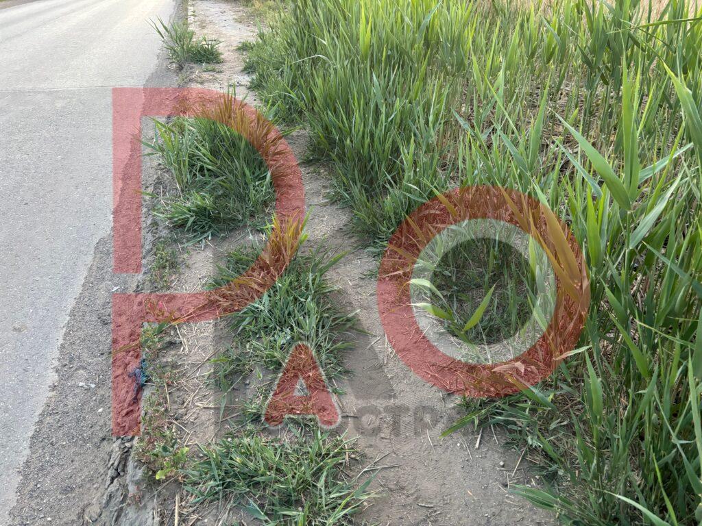 Бездействие администрации Астрахани и проблемы с ремонтом дорог вызывают недовольство жителей — фото 1
