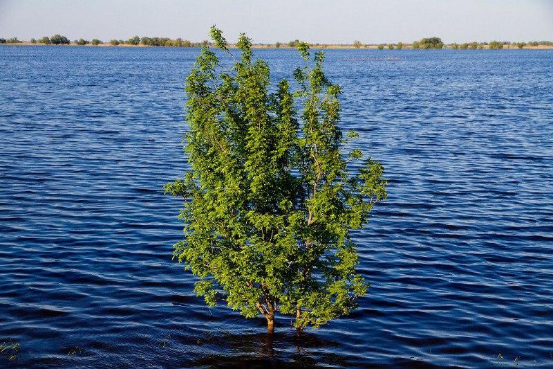 Рыбохозяйственная полка весеннего половодья в Астраханской области продлена до 31 мая