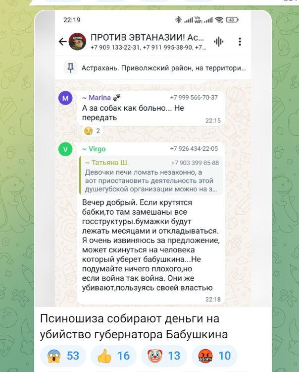 Астраханские зоозащитники предложили собрать средства, чтобы «убрать» губернатора — фото 1