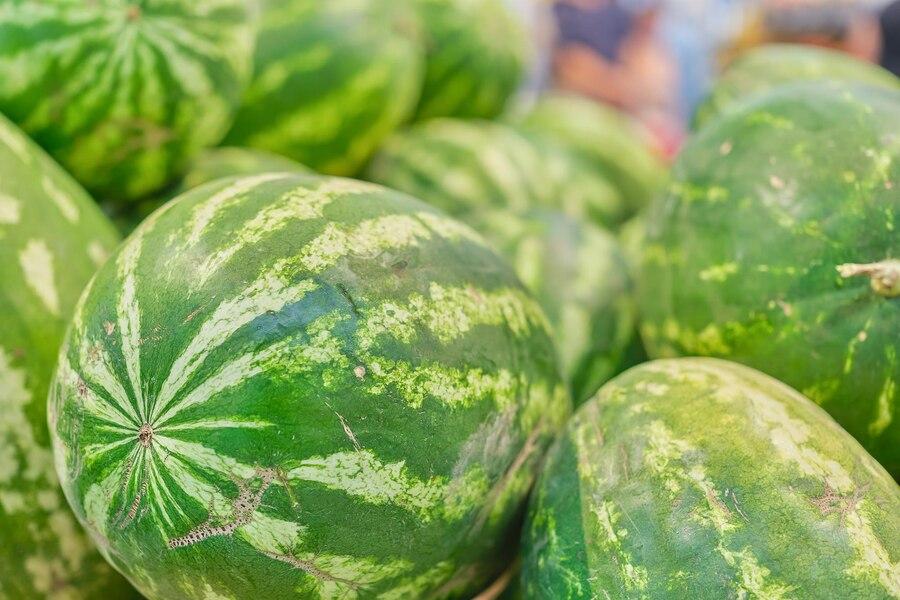 Ранние астраханские арбузы уже оценили жители других регионов