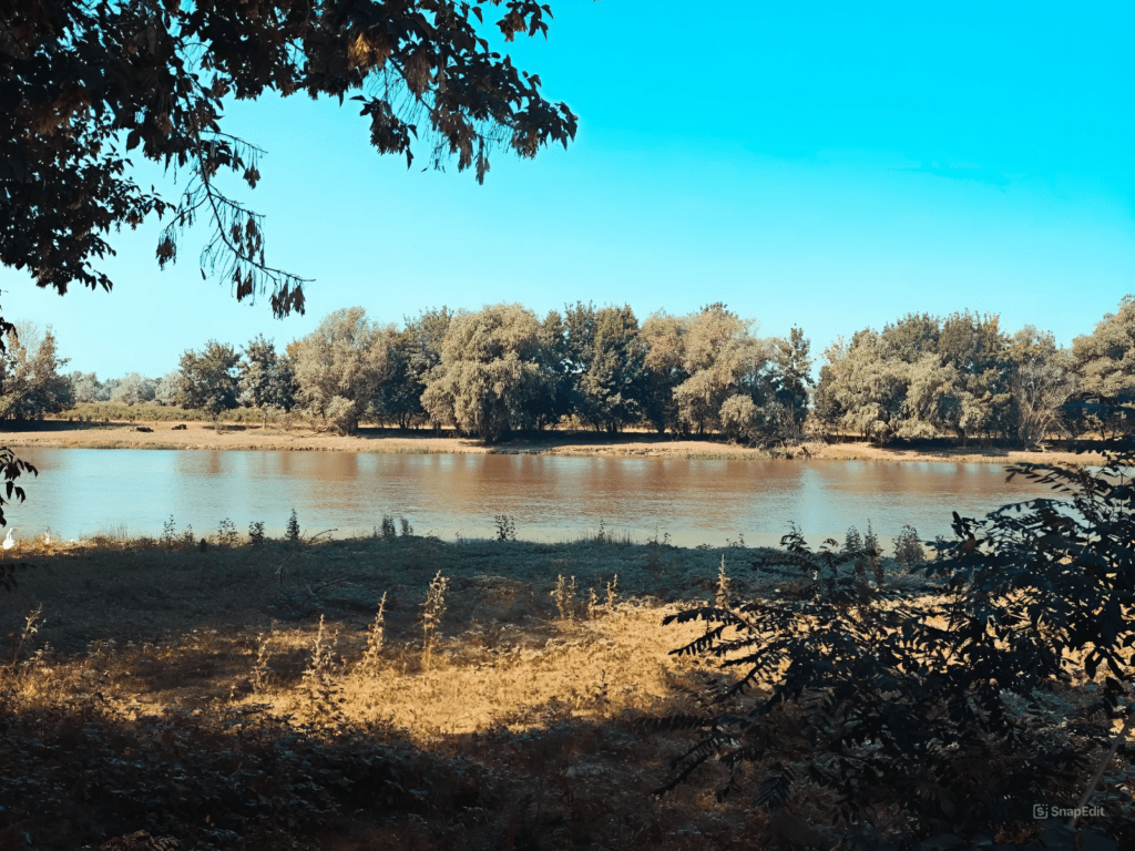 У астраханцев спрашивают, стоит ли вводить в регионе туристический сбор