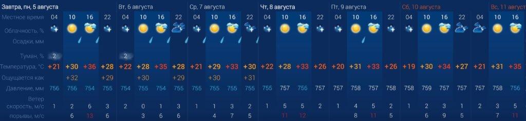 Жара и дожди: какая погода ждет астраханцев на новой неделе — фото 1
