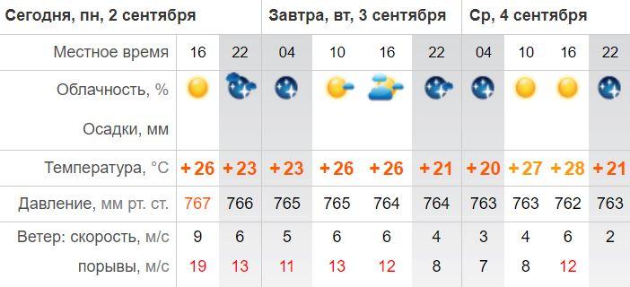 Ветреная погода принесла астраханцам множество неприятностей — фото 1