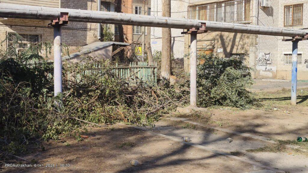 В одном из районов Астрахани назревает мусорный коллапс — фото 1