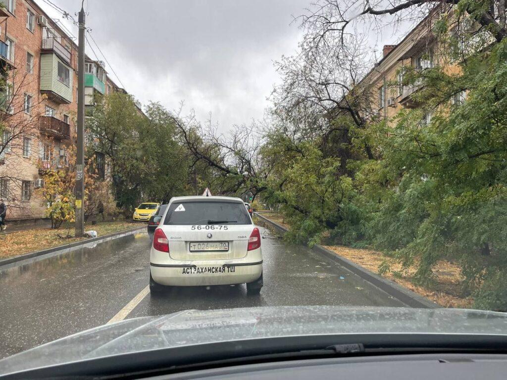 Упавшие деревья, затопленные улицы и оборванные провода — фото 1
