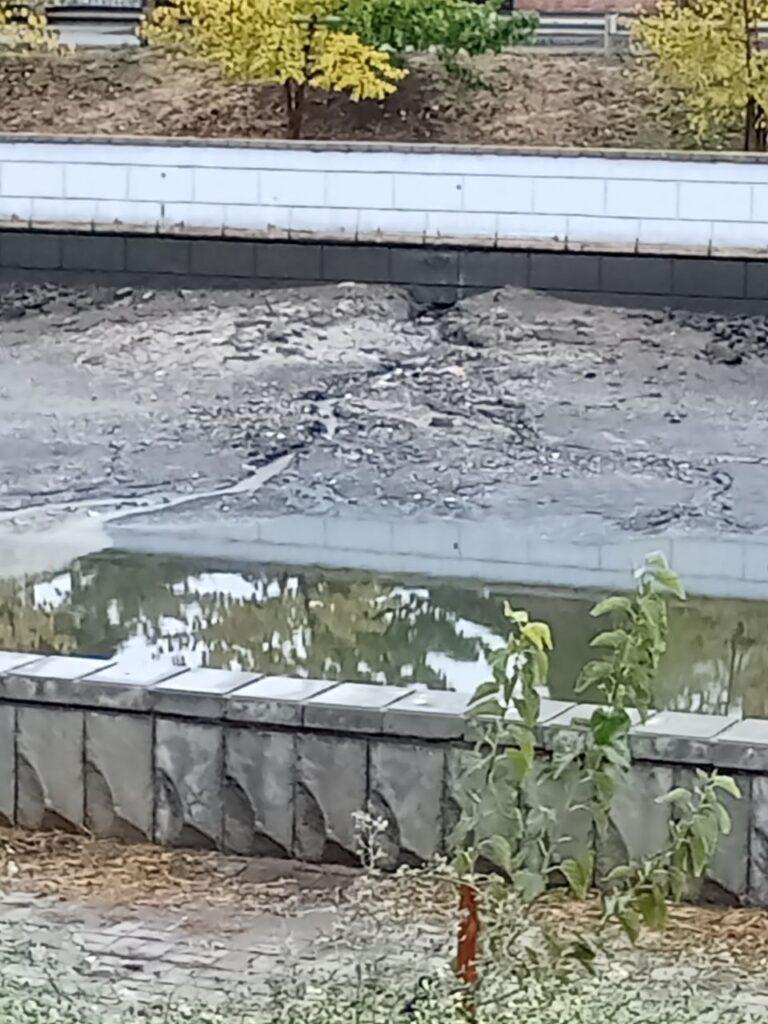 Астраханцы не понимают, почему никого не волнует загрязнение городских каналов — фото 1