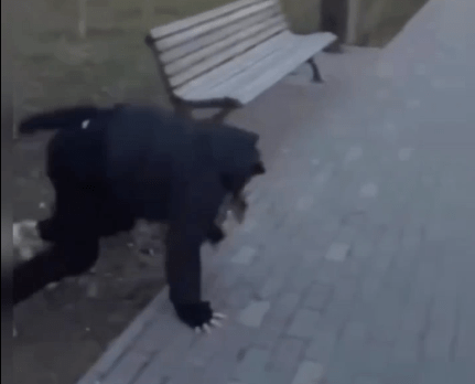 В Астрахани запечатлели квадробера