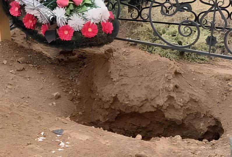 Астраханцы вновь жалуются на собак, раскапывающих могилы