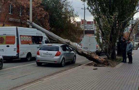 Сухое дерево рухнуло на автомобиль рядом с торговым центром в Астрахани