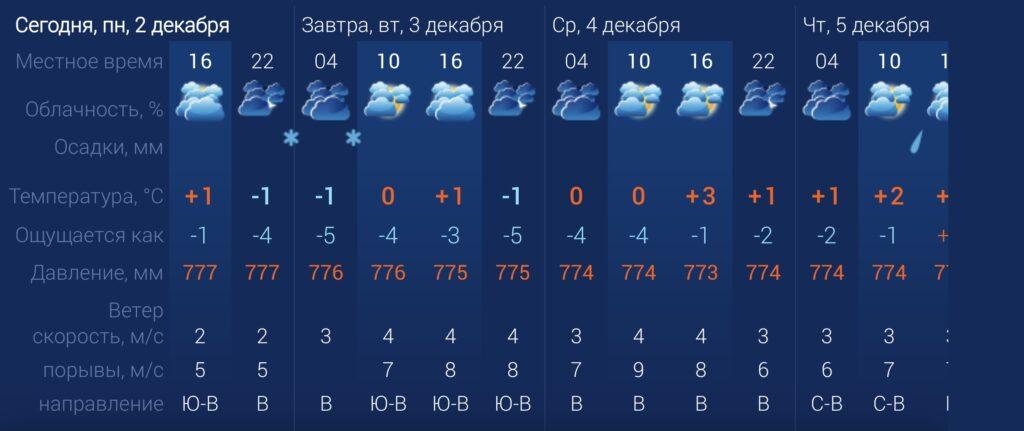 Какой будет погода в Астрахани в декабре? — фото 1