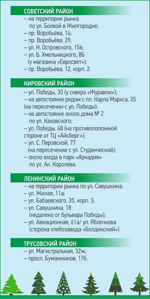 Елочных базаров в Астрахани будет больше, чем планировалось — фото 10