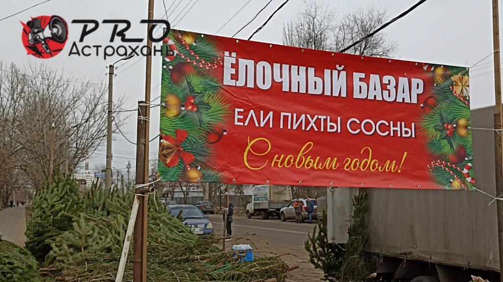 Можно ли будет 31 декабря купить елку по сниженной цене в Астрахани — фото 1