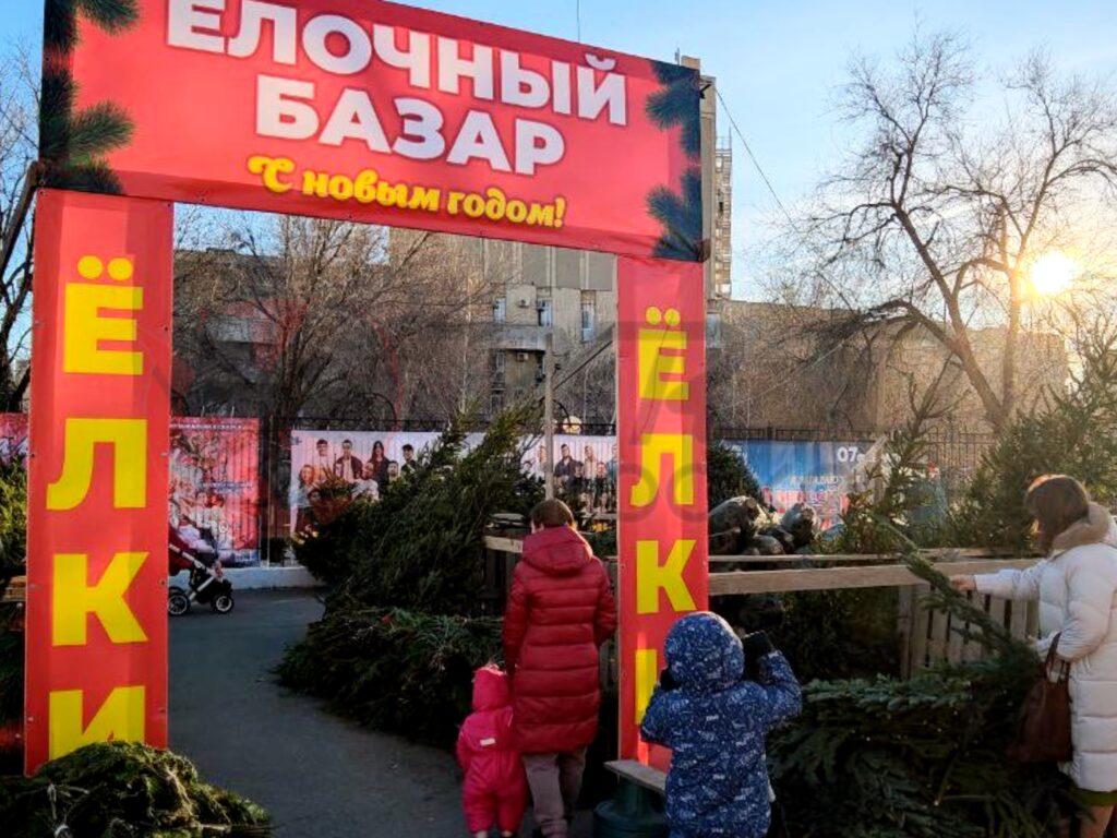 Елочных базаров в Астрахани будет больше, чем планировалось