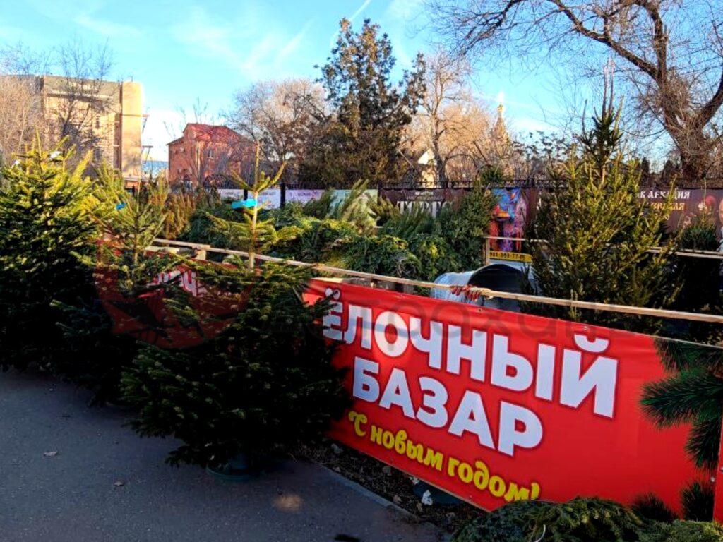 Елочных базаров в Астрахани будет больше, чем планировалось — фото 1