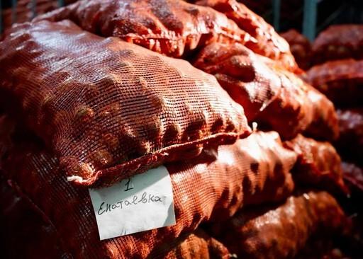 На полках крупных супермаркетов станет больше продукции астраханских аграриев — фото 1