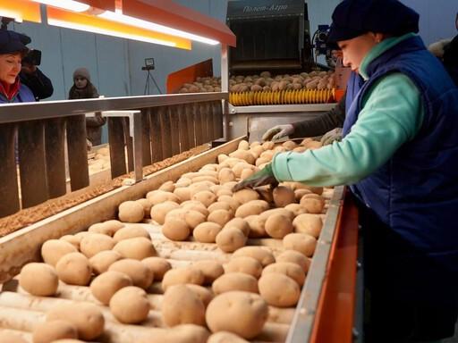 На полках крупных супермаркетов станет больше продукции астраханских аграриев