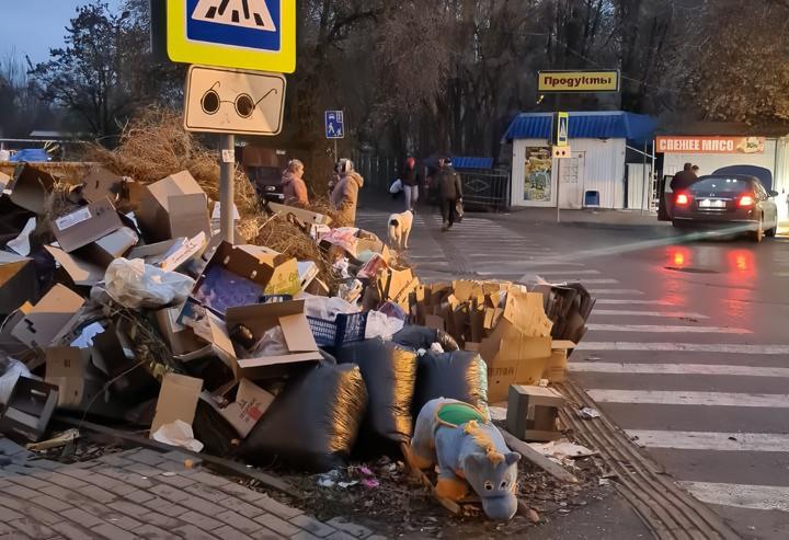 Астраханцы замечают все больше стихийных свалок, кишащих крысами