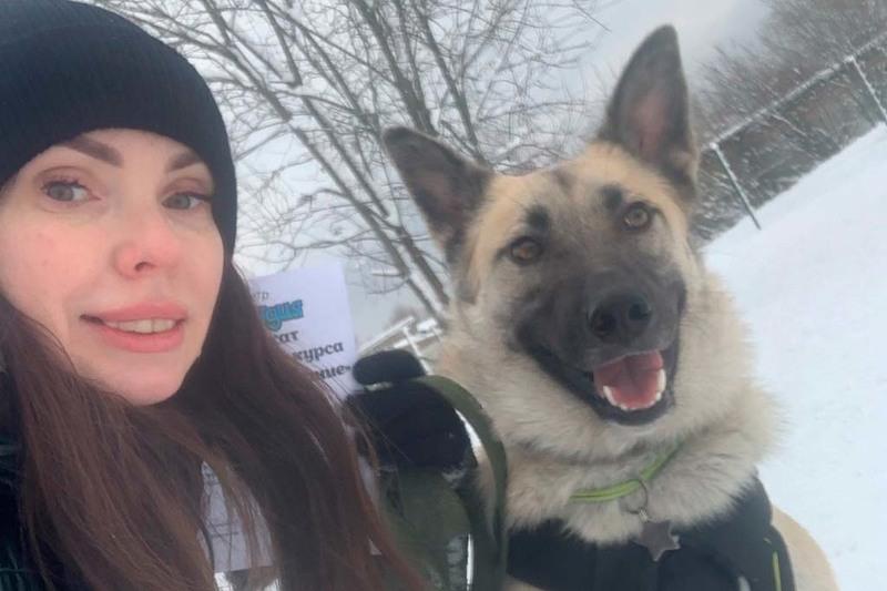 Астраханский приютский пес нашел свой дом в Череповце