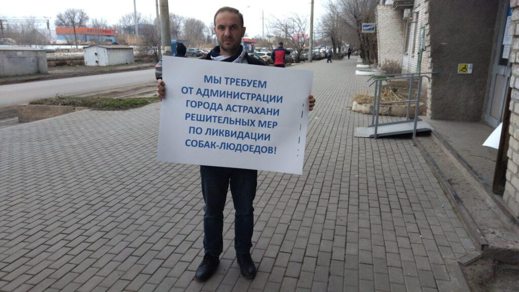 Астраханцы начали выходить на улицы с плакатами против «собак-людоедов»